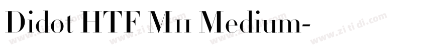 Didot HTF M11 Medium字体转换